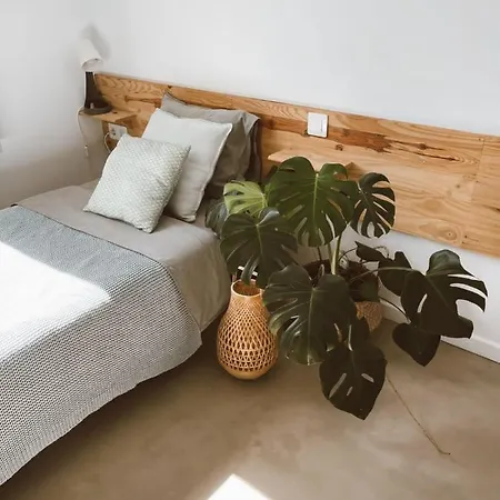 Koa - Riders Surf N Bike Bed & Breakfast