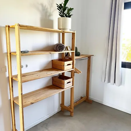 Koa - Riders Surf N Bike